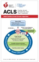 cover image of ACLS Digital Reference Cards 1 (International English)