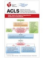 cover image of ACLS Digital Reference Cards 3 (International English)